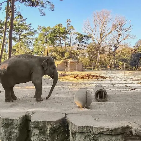 Lovely In Saint-Georges-d'Oleron
